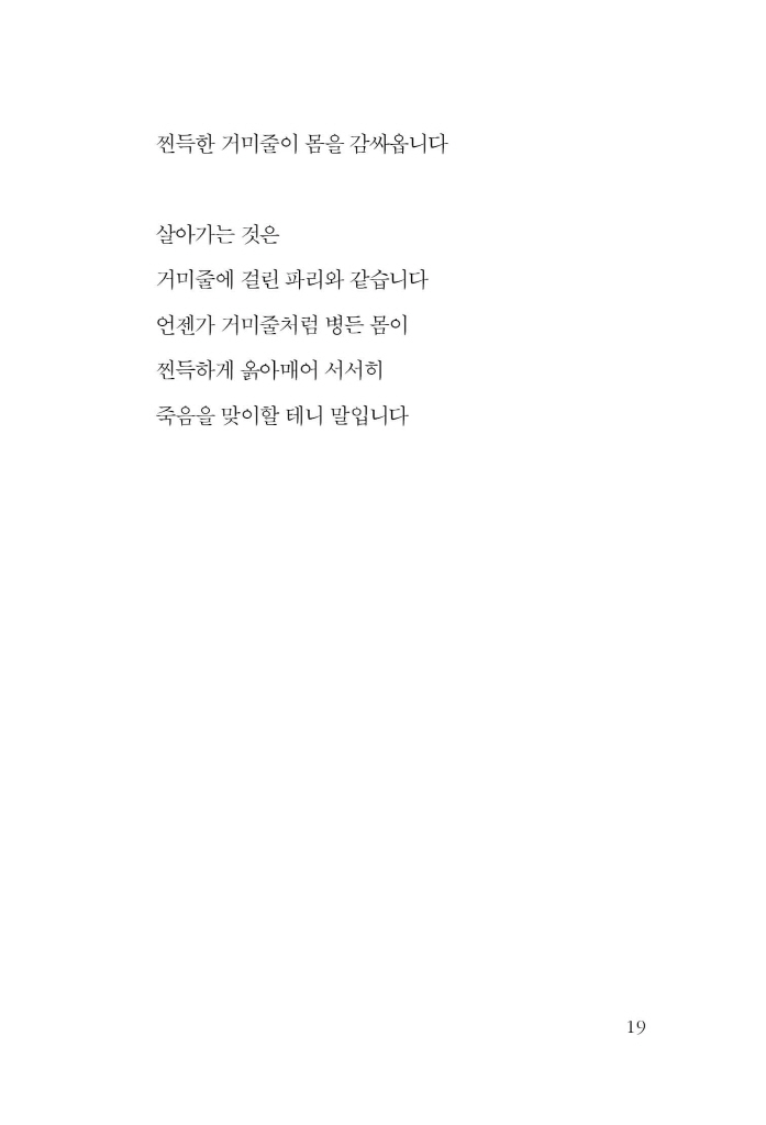 20페이지