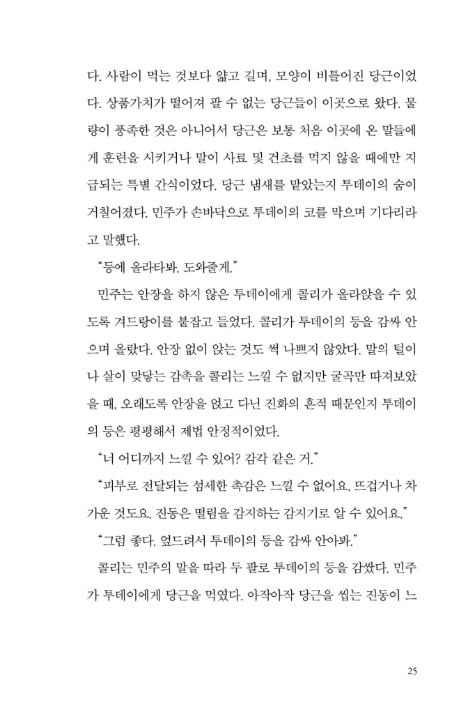 26페이지