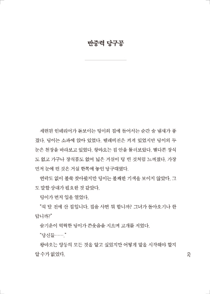 30페이지