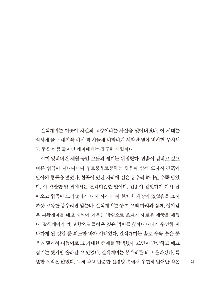12페이지