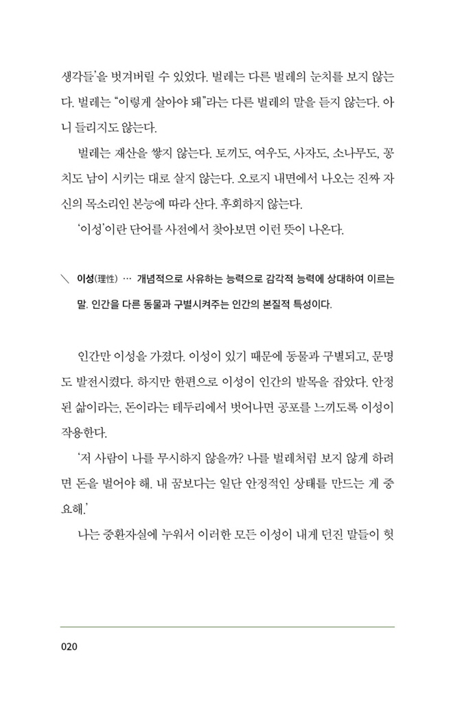 19페이지
