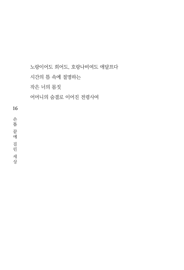 17페이지