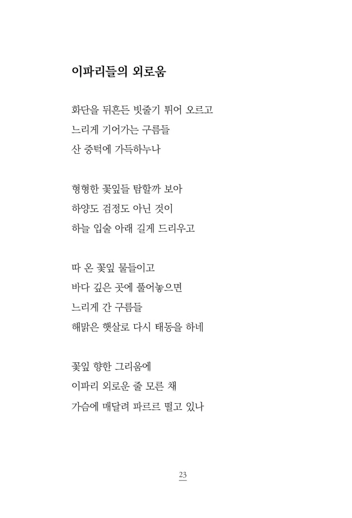 22페이지