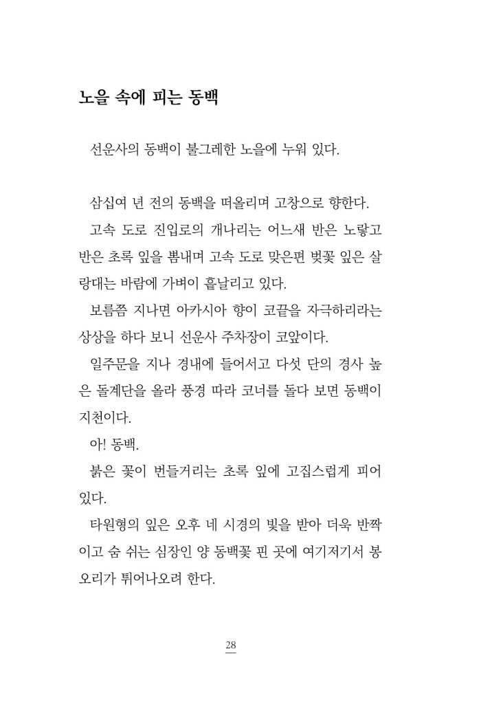27페이지