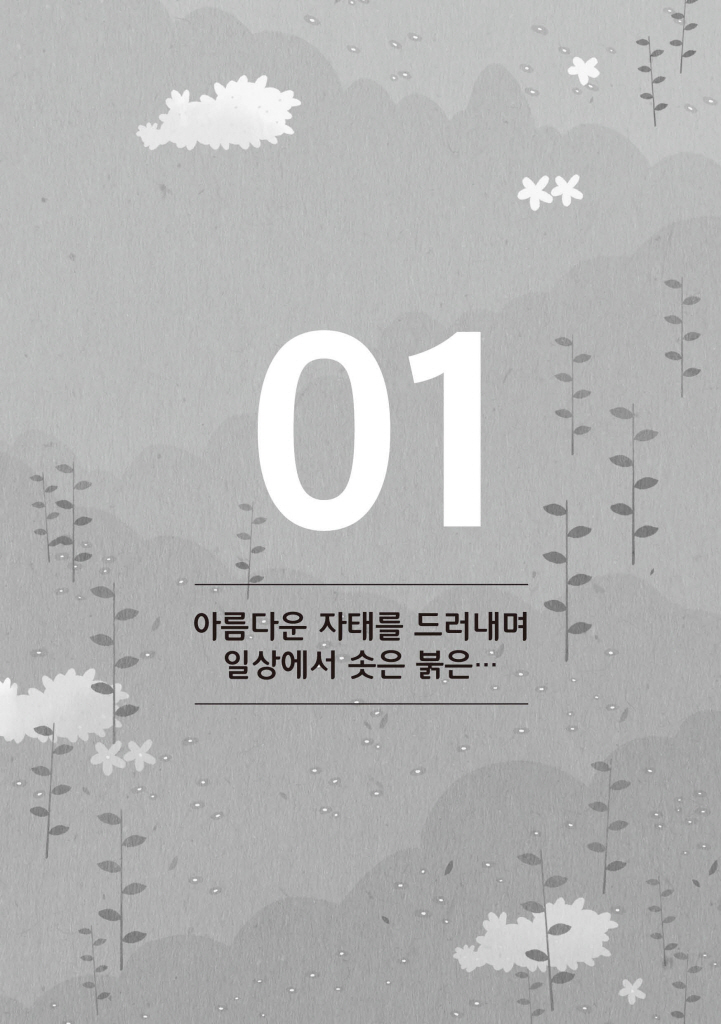 14페이지