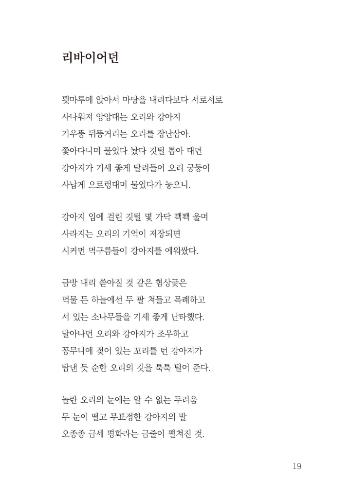 20페이지
