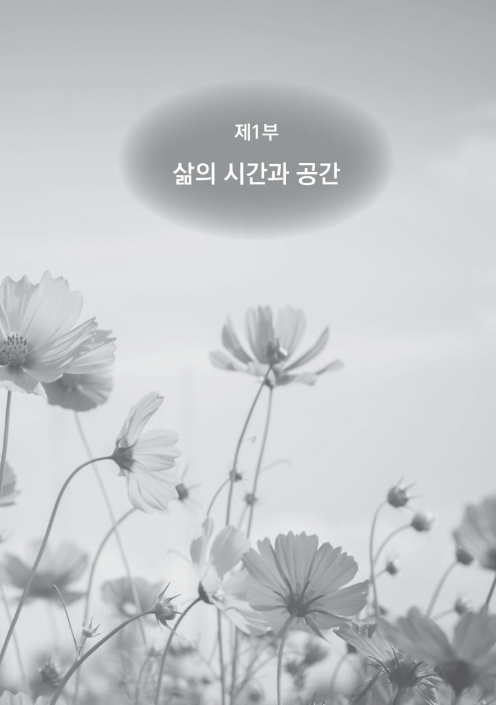 14페이지