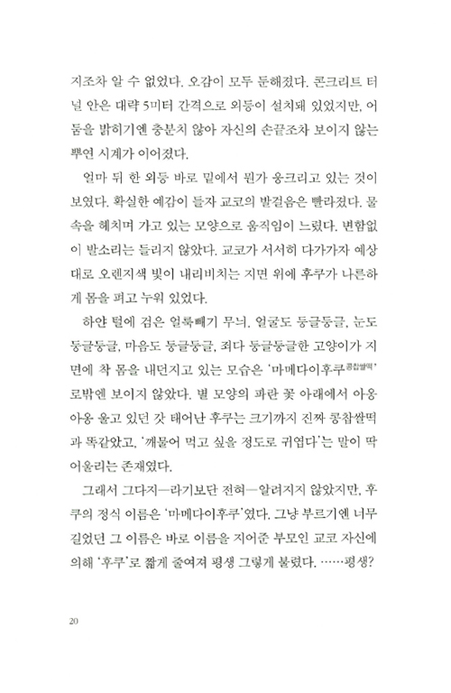 19페이지
