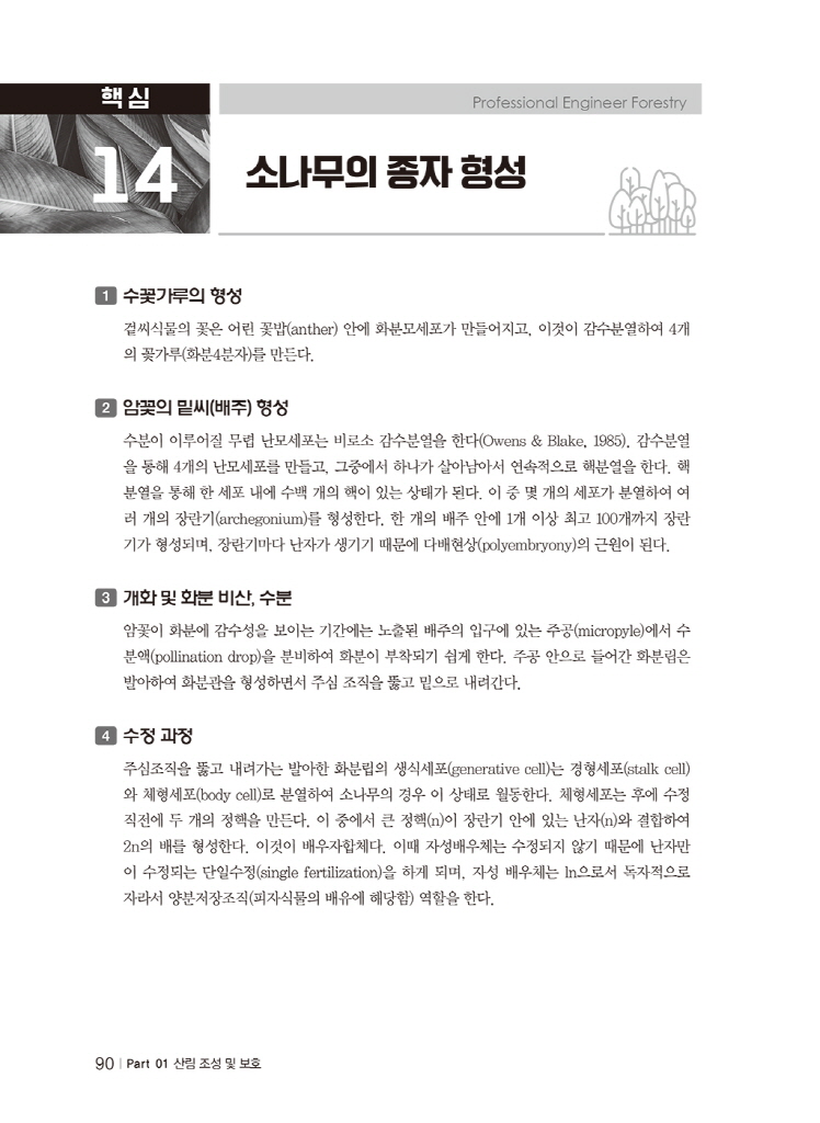 1페이지