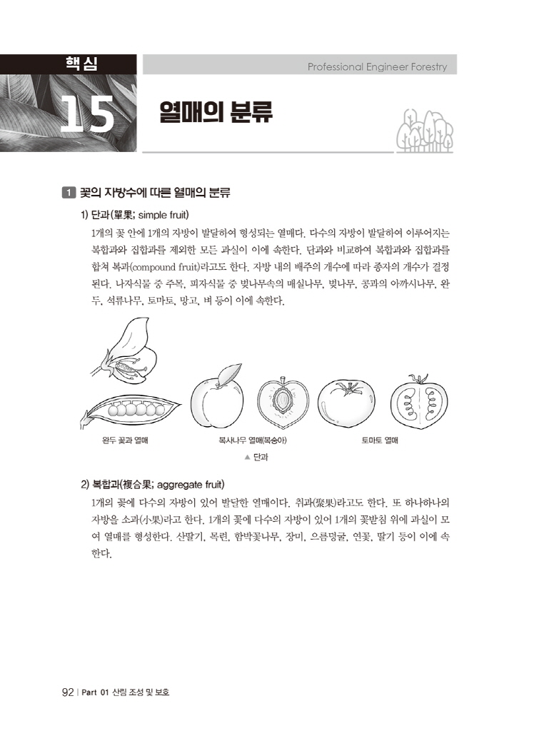 2페이지
