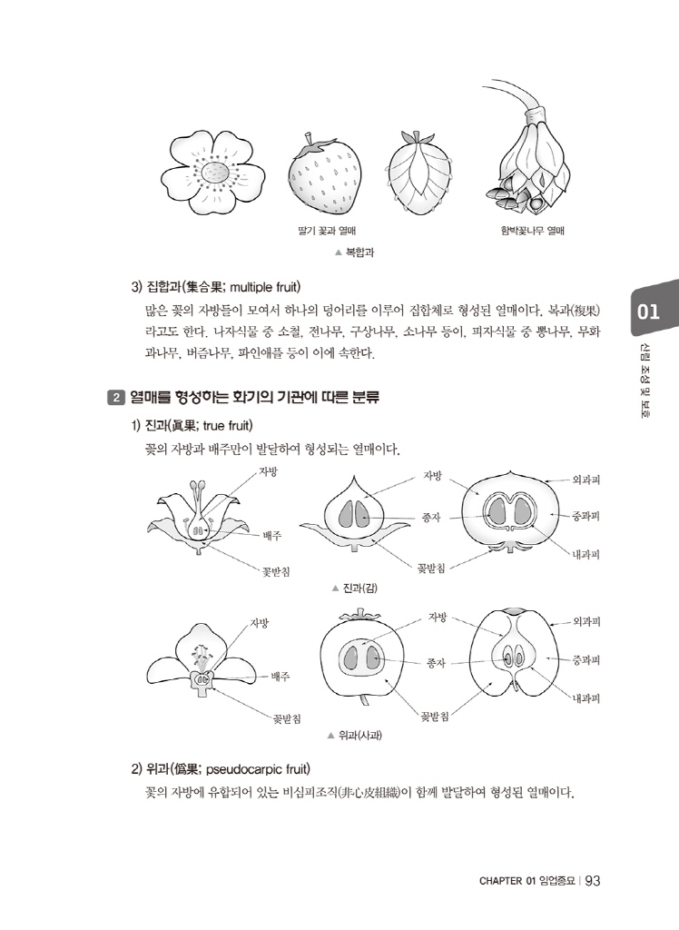 3페이지