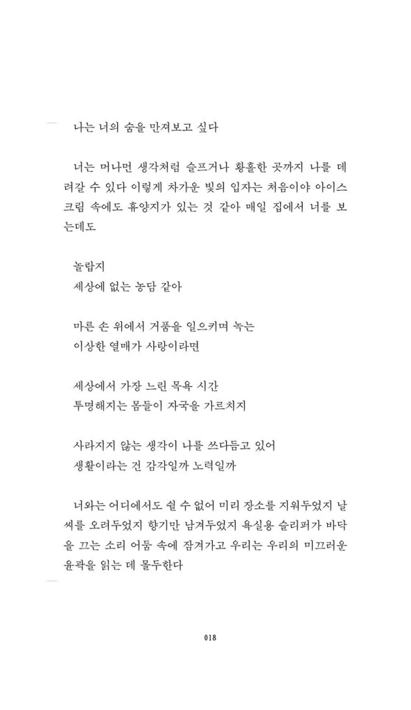 19페이지