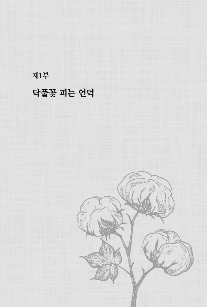 11페이지