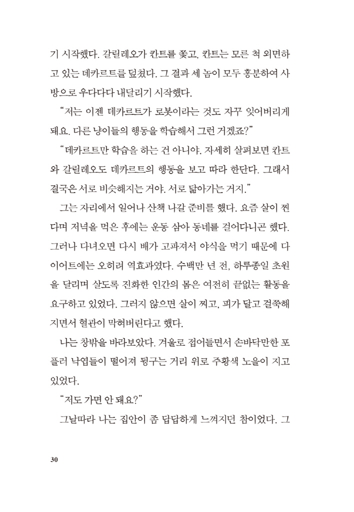 31페이지