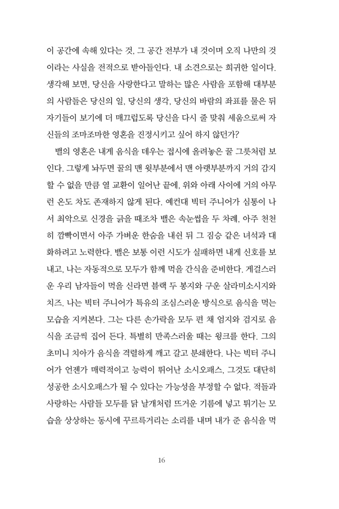 17페이지