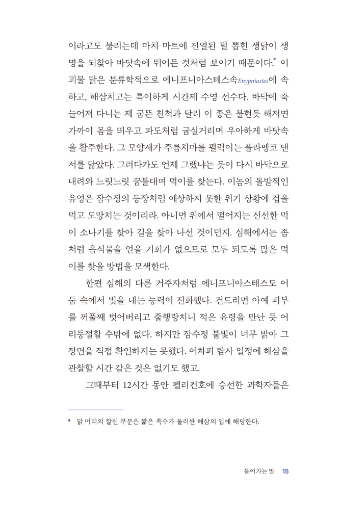 16페이지