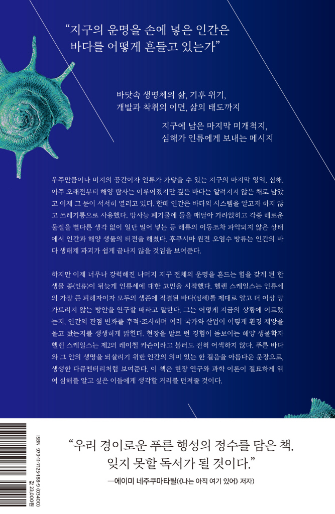 31페이지