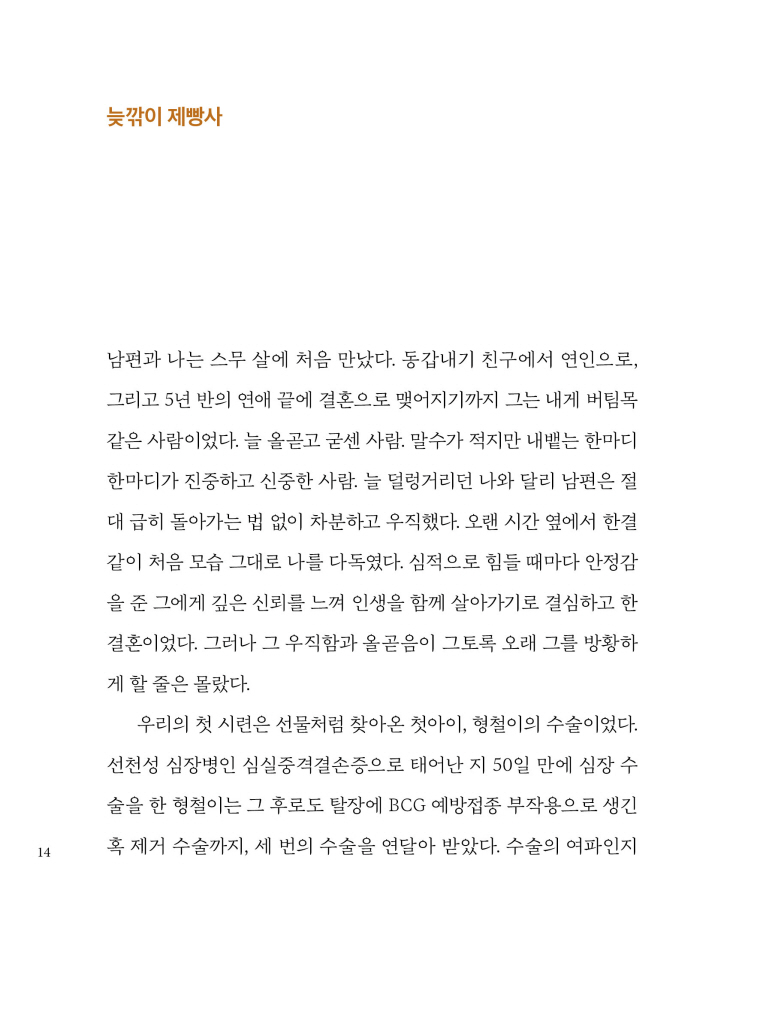 15페이지