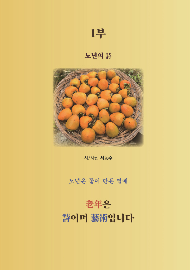 14페이지