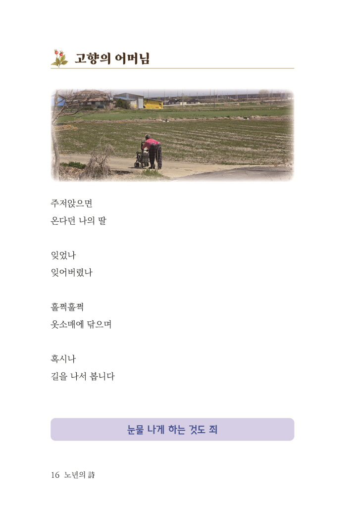 17페이지