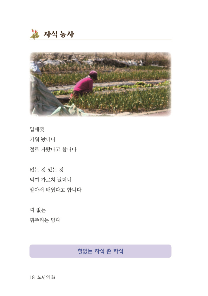 19페이지