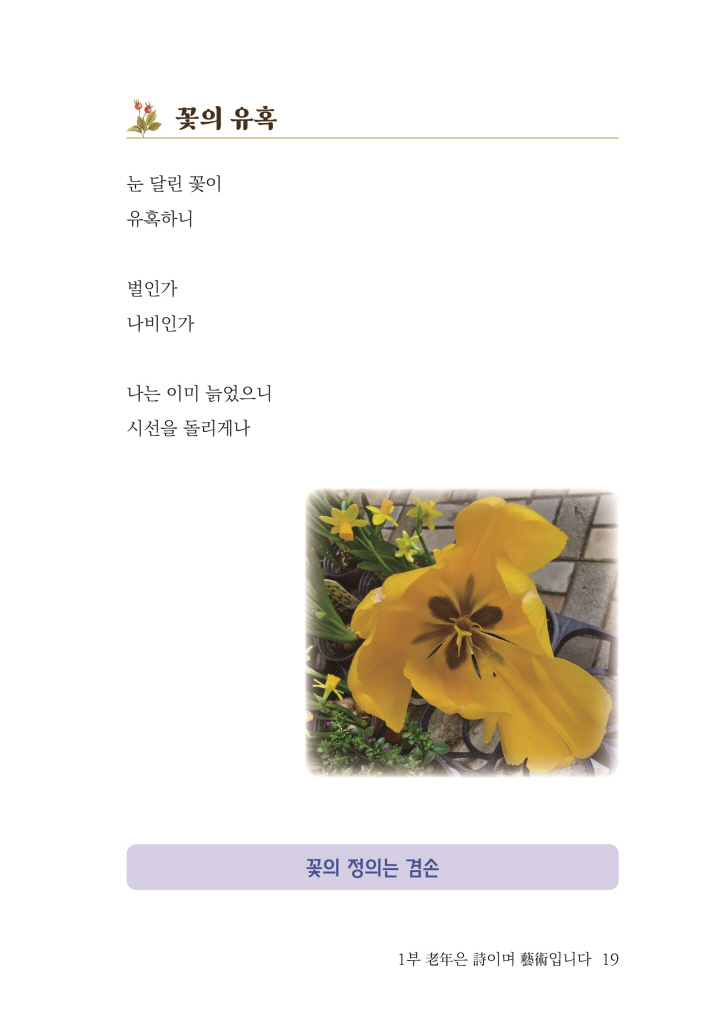 20페이지