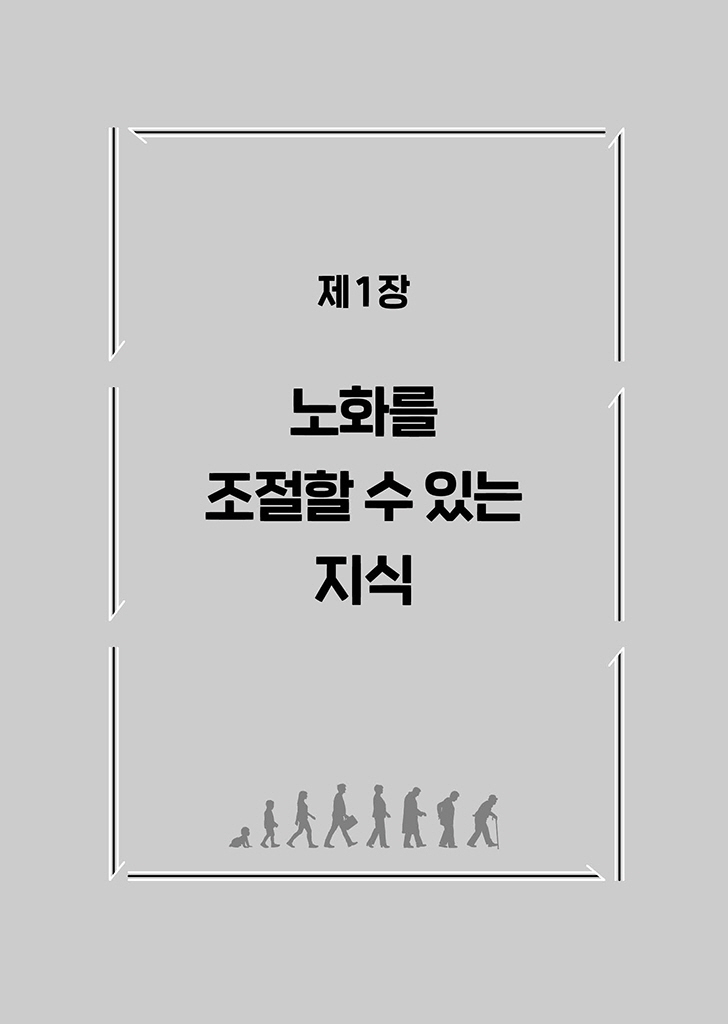 12페이지