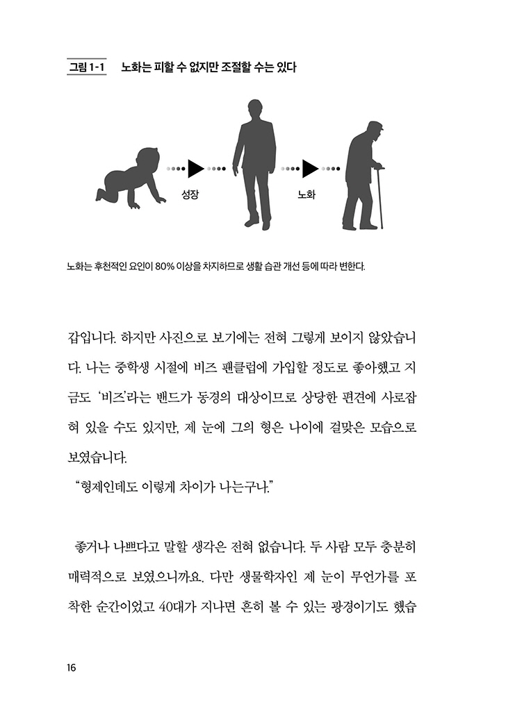 15페이지