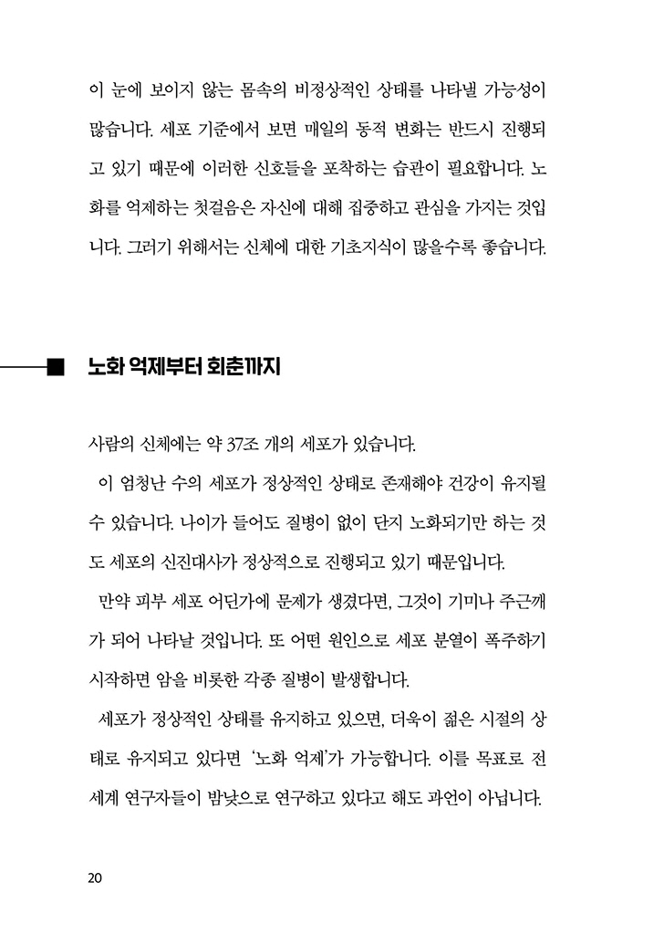 19페이지