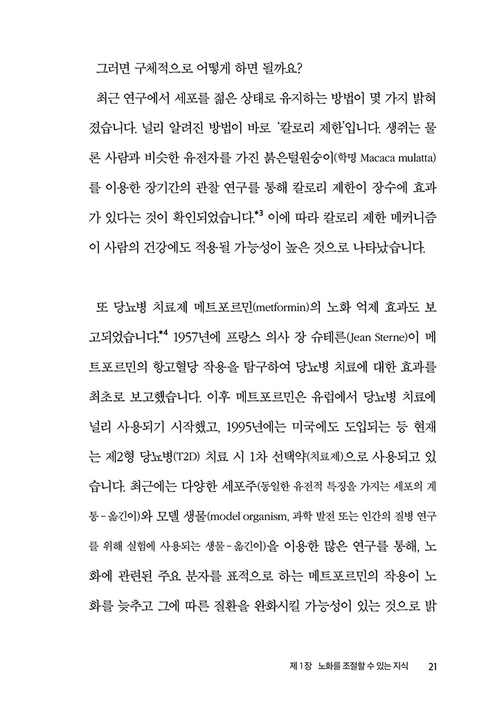 20페이지
