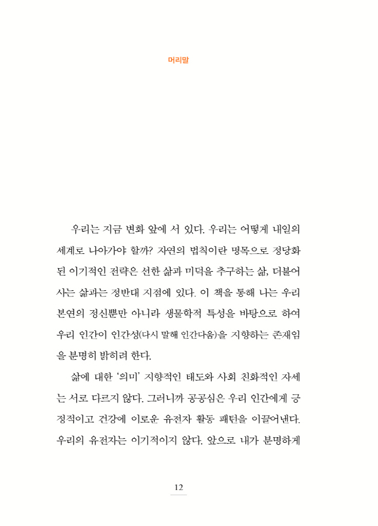 13페이지