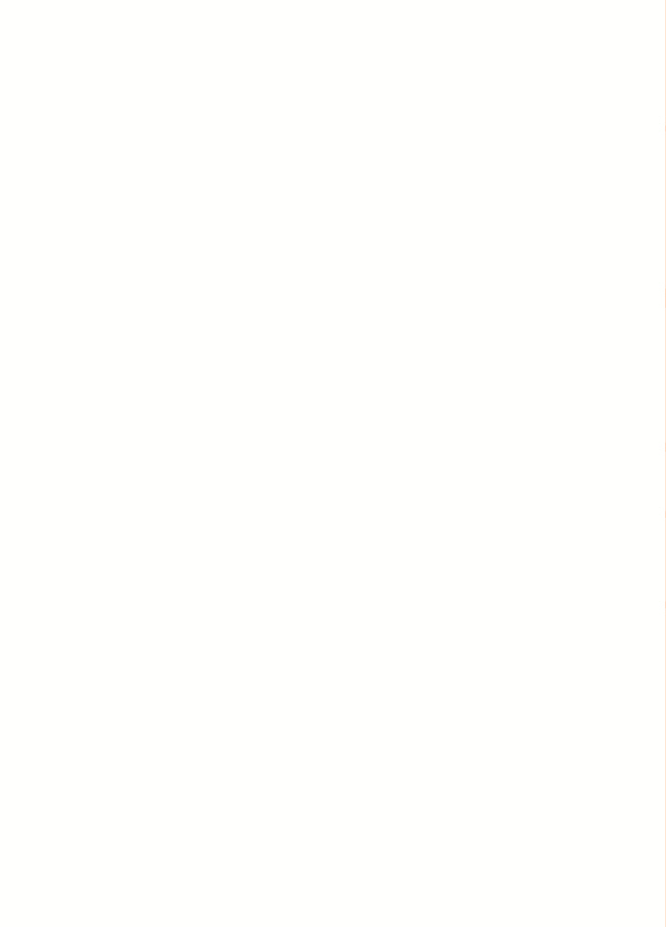 19페이지