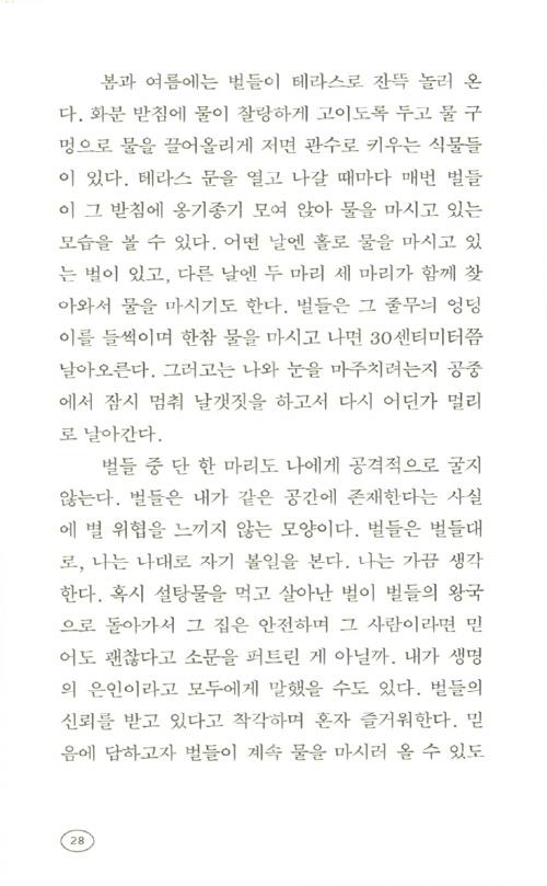 27페이지