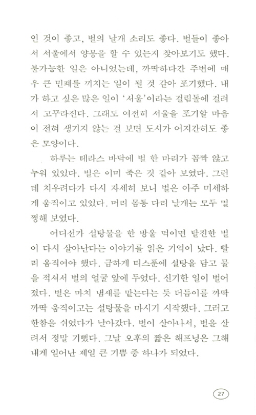 26페이지