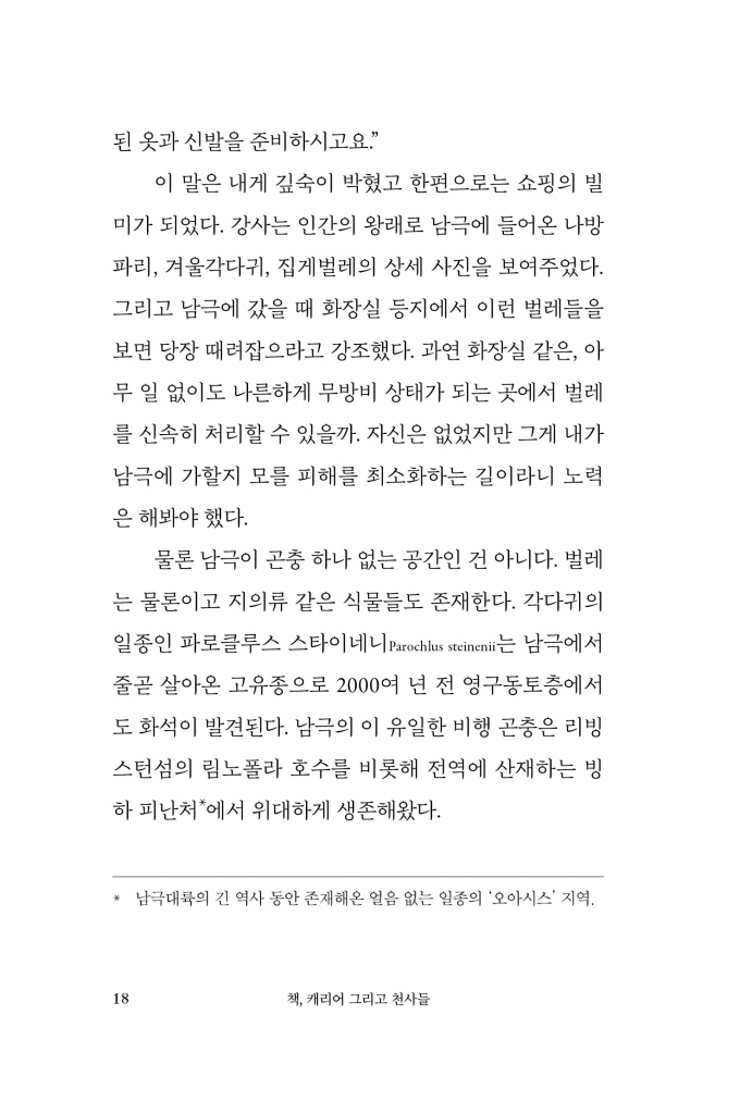 19페이지