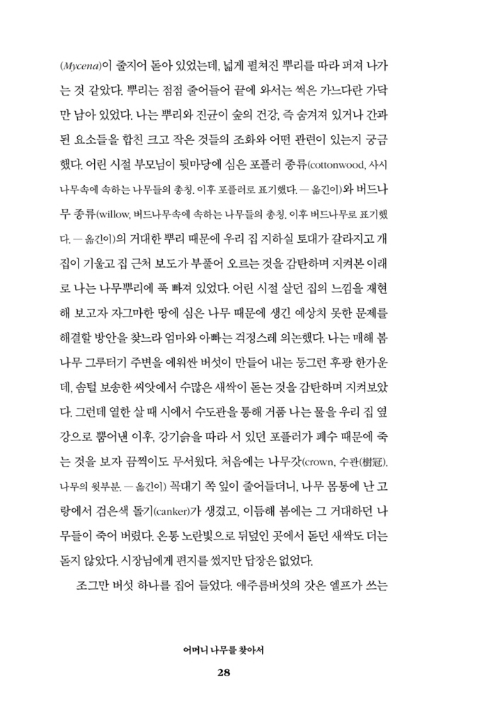 29페이지