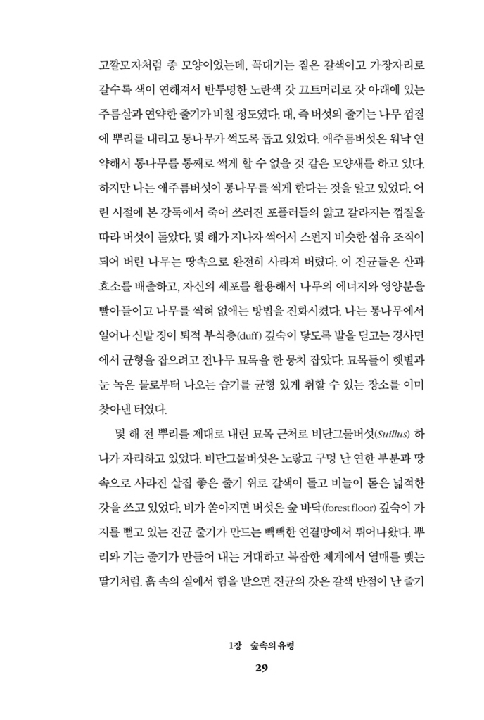 30페이지