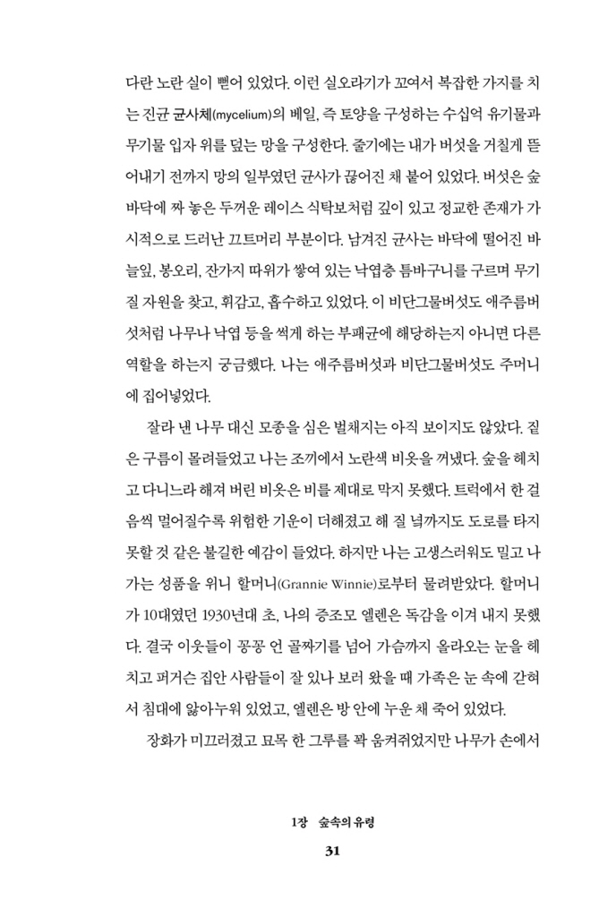 32페이지