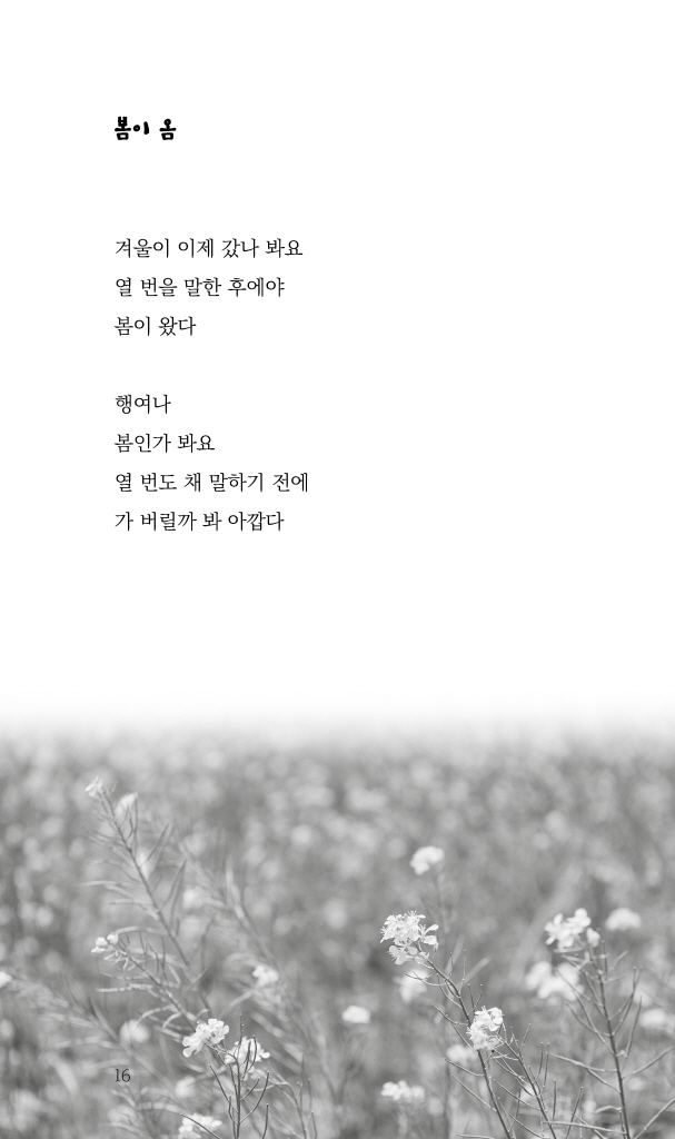 15페이지