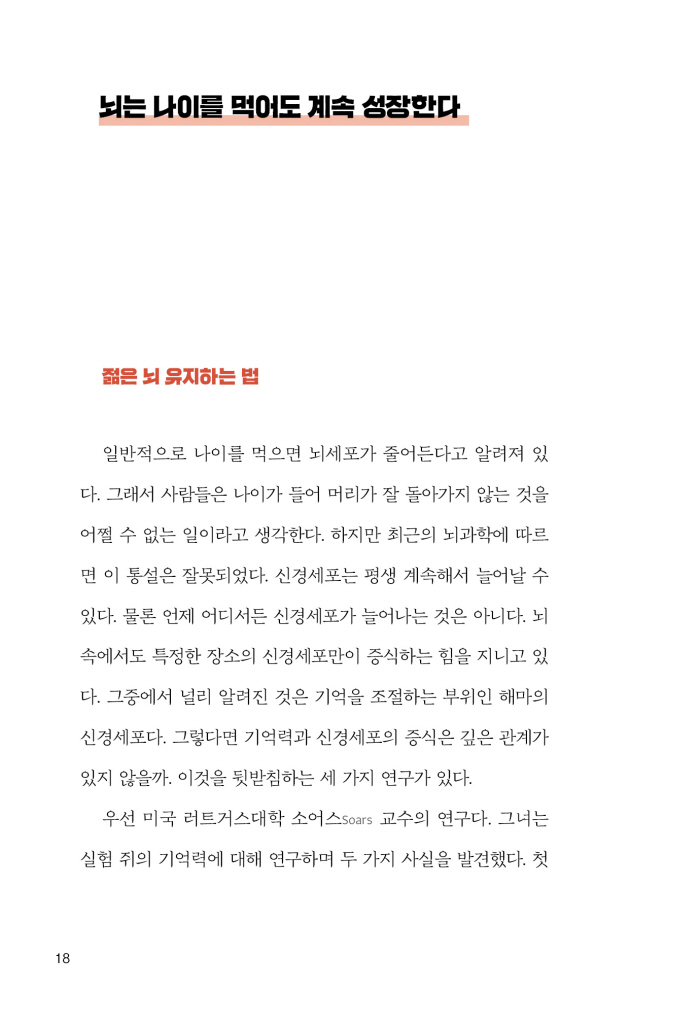 19페이지
