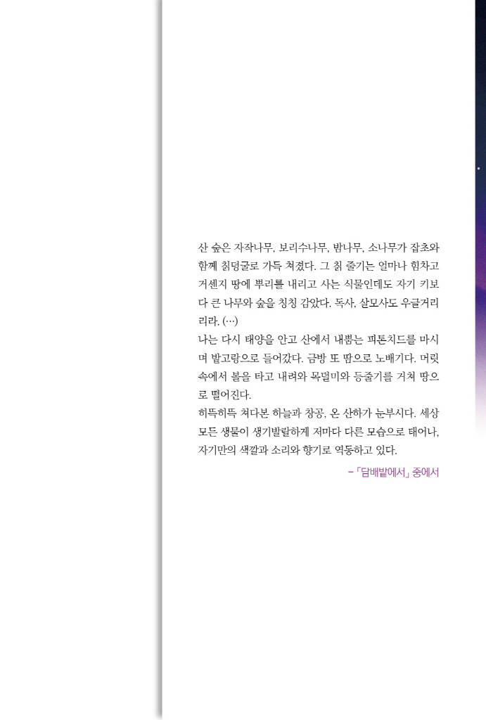 30페이지