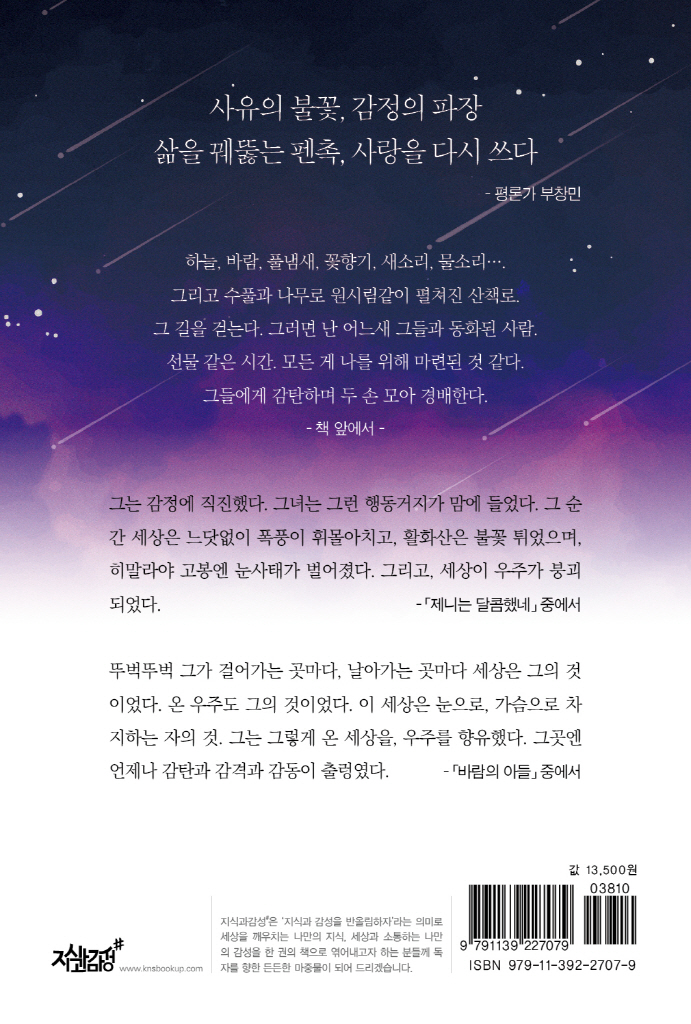 31페이지