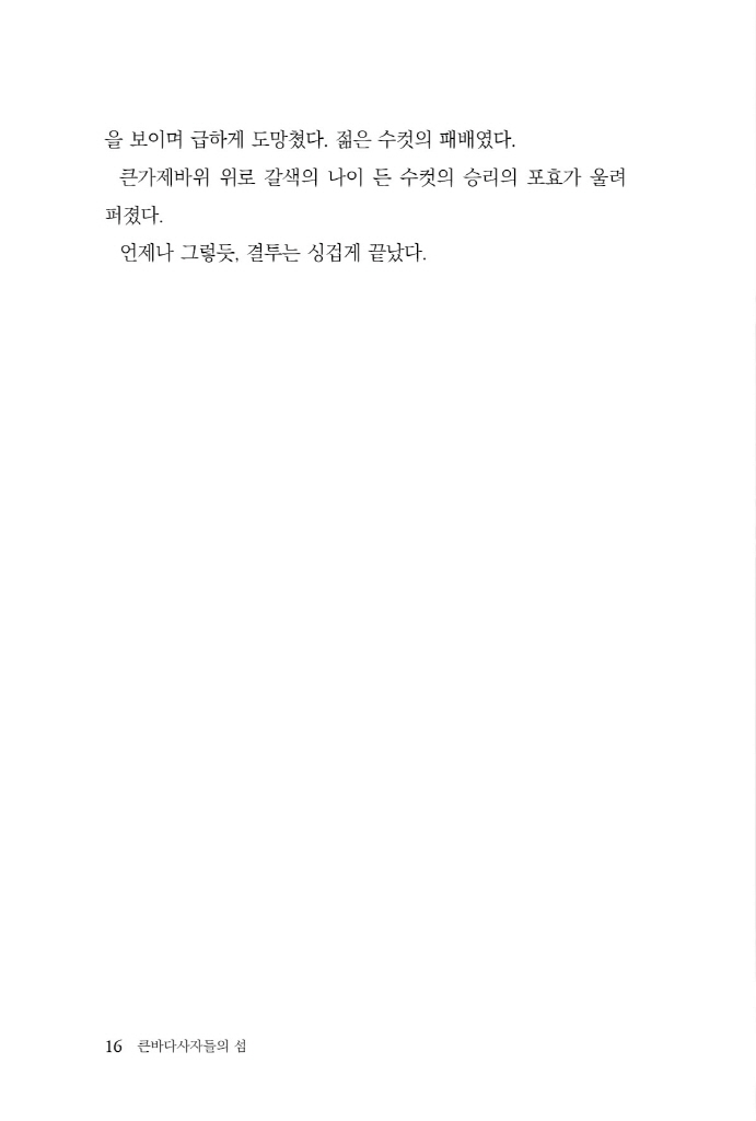 17페이지