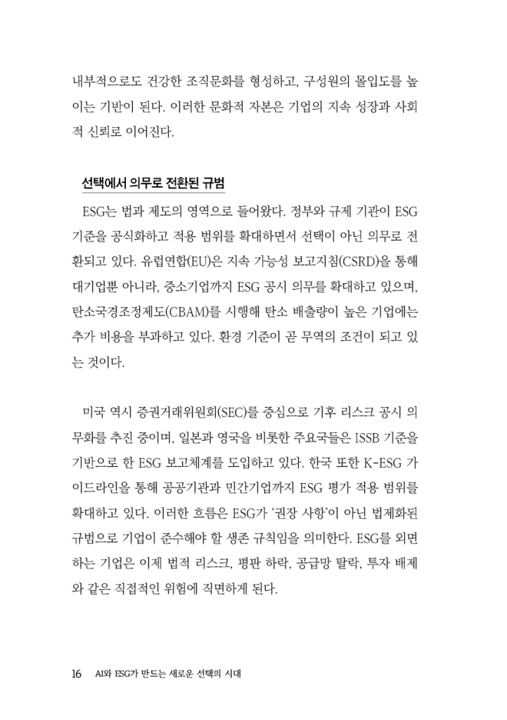 17페이지