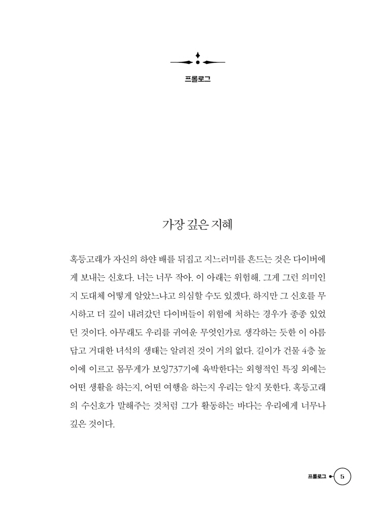6페이지