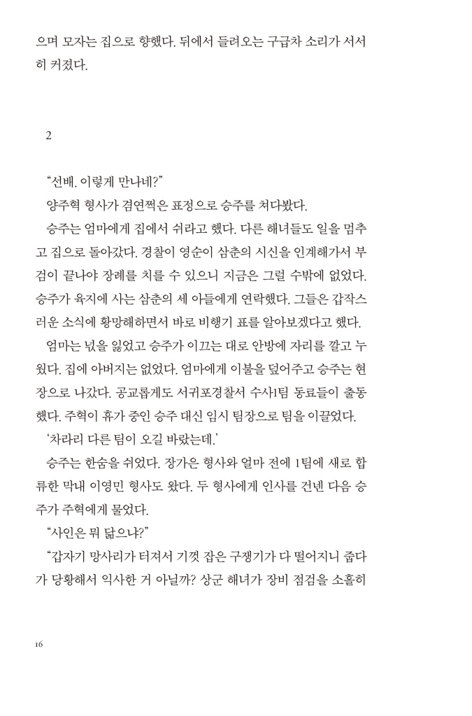 17페이지