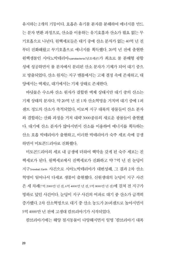 21페이지