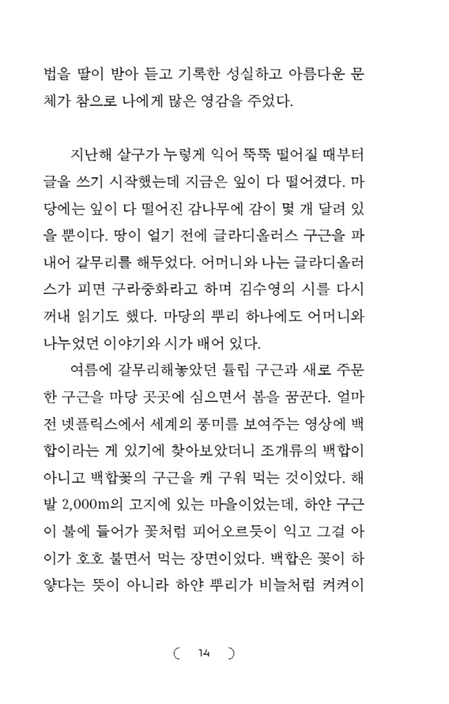 13페이지