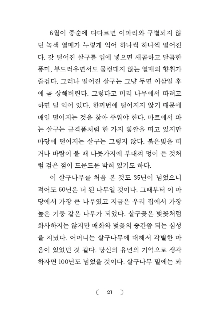20페이지
