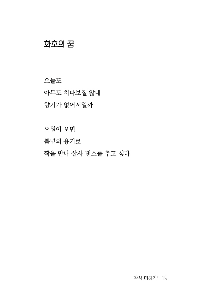 20페이지